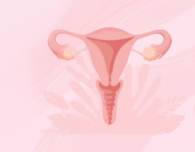 Labiaplasty Surgery