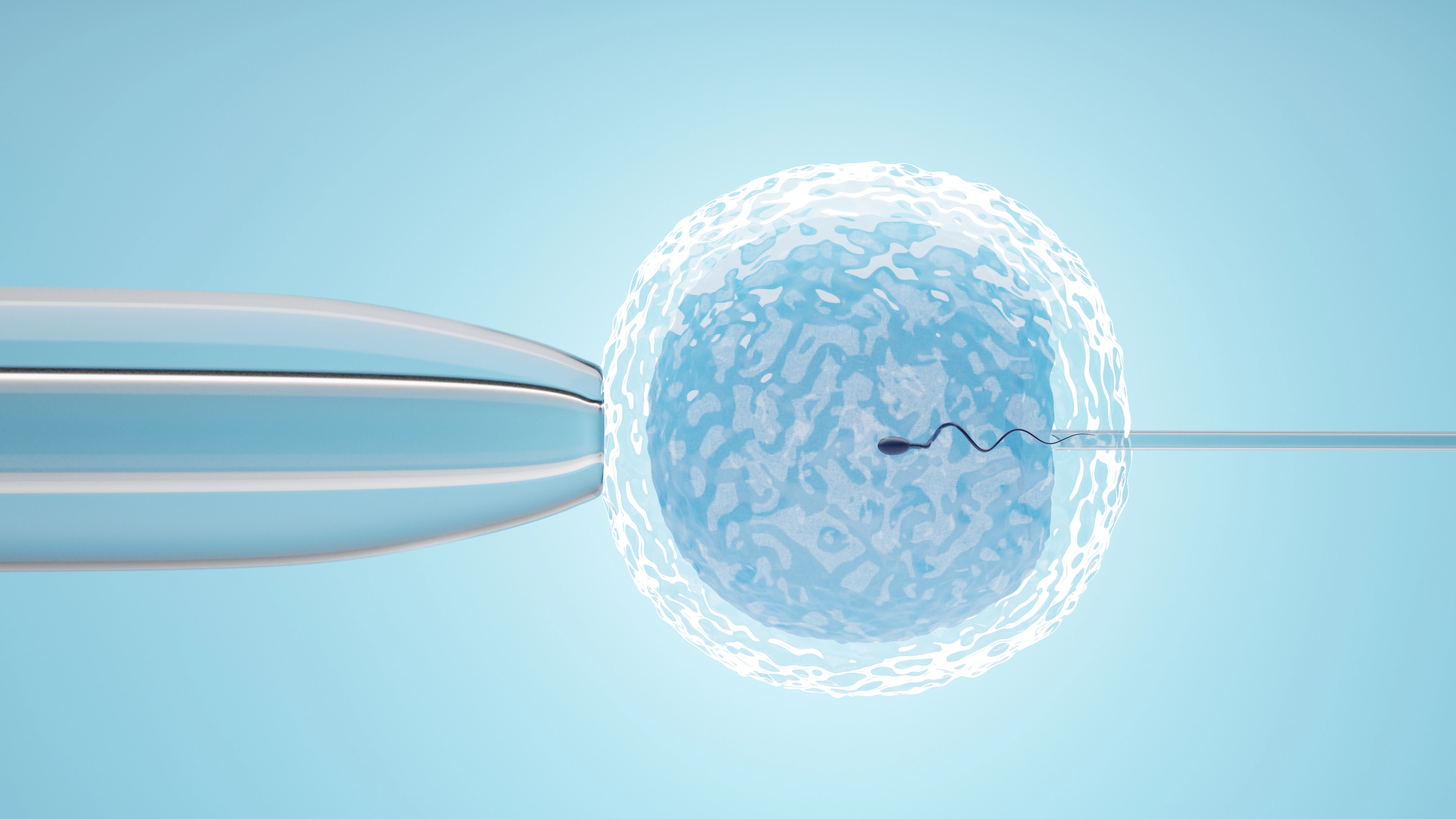 Tüp Bebek (IVF) ve Yapay Döllenme (Aşılama) Anlamak